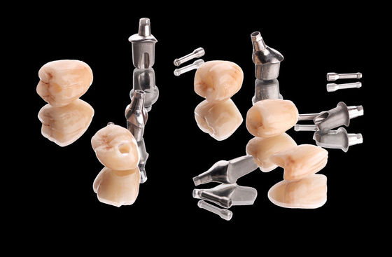satın al Metal İmplant Taç Köprüsü Doğal Zirkonya Titanyum Abutment ile Tam Kontür Taç online manufacture